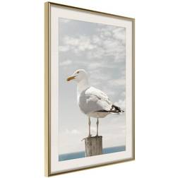 Arkiio Affisch Seagull [Poster] 20x30 Poster